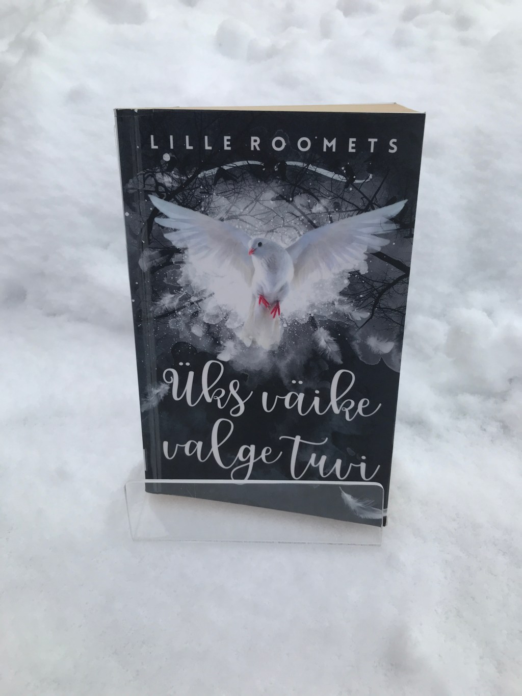 Üks väike valge&nbsp;tuvi