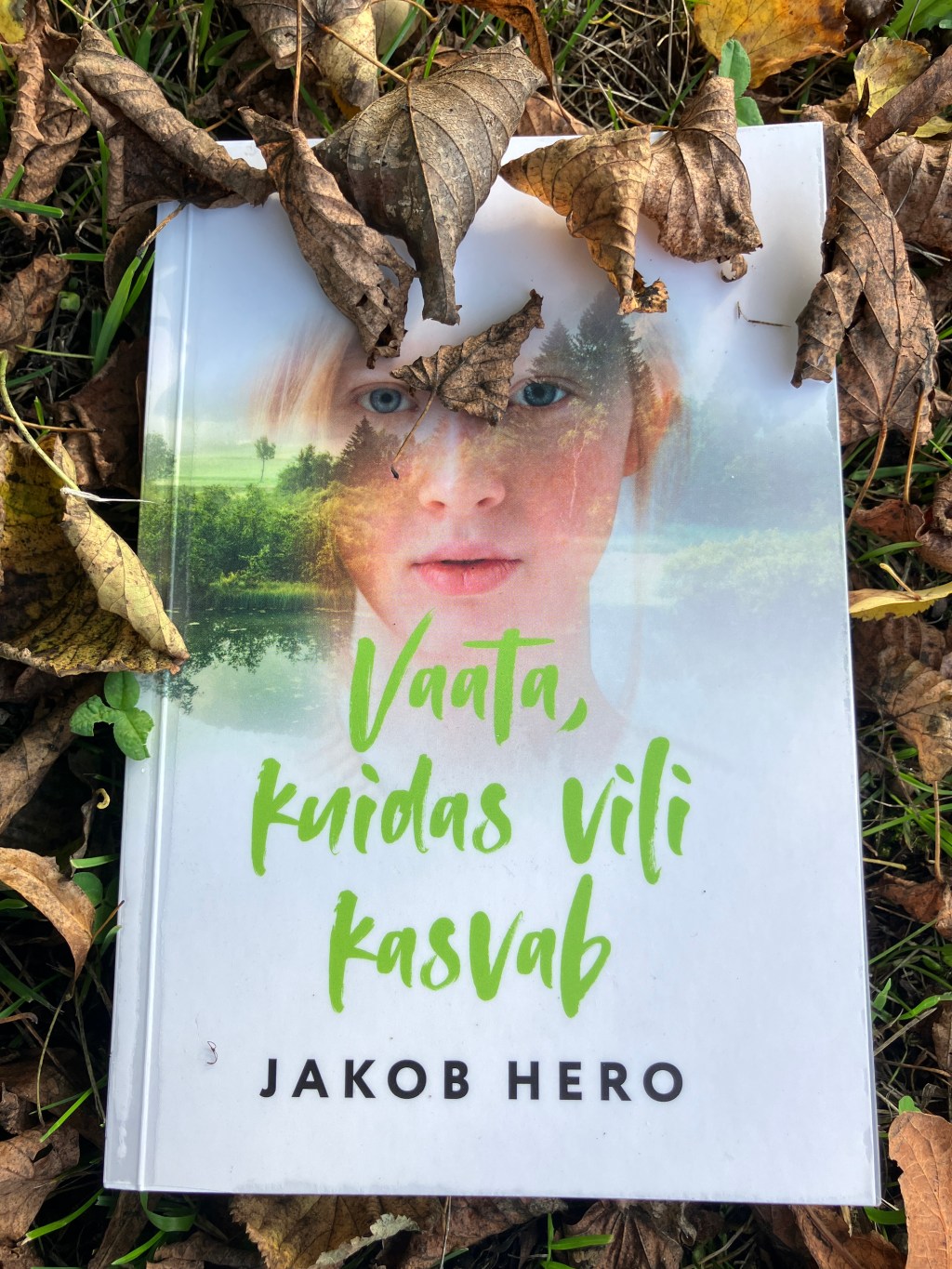 Vaata, kuidas vili&nbsp;kasvab