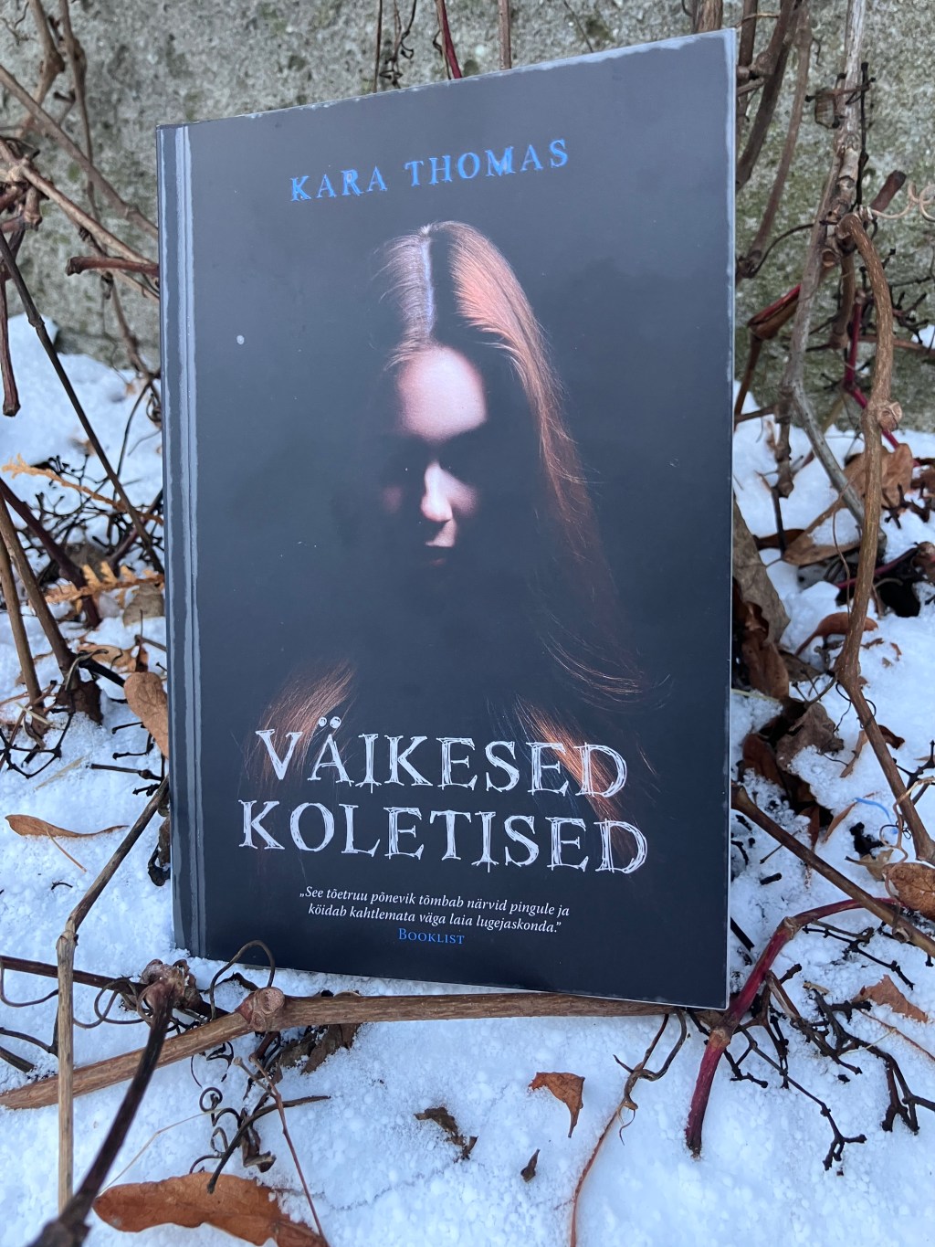 Väikesed koletised